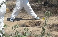 Ejecutado en rancho de “El Muletas”, recibió 2 tiros en la cabeza
