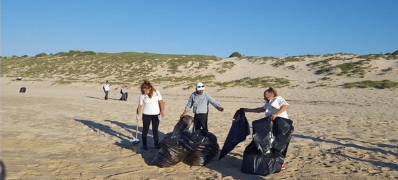 Continúan trabajos de limpieza en playas de CSL