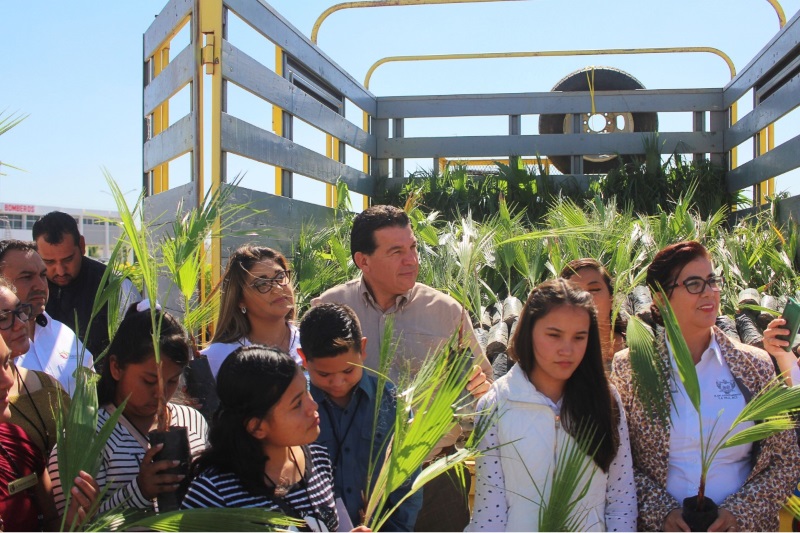 CONAFOR entregó 5 mil palmas al Ayuntamiento de La Paz