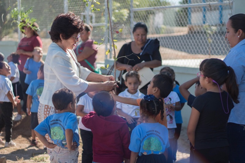 Avanza programa “Un Árbol por la Esperanza” en La Paz: SQP