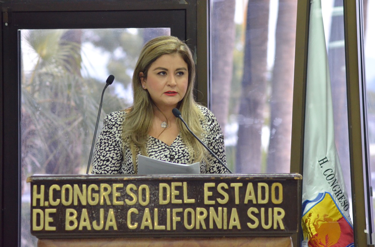 Prisión preventiva oficiosa a feminicidio, robo a casa habitación, relativo a las armas y abuso o violencia sexual infantil: Daniela Rubio