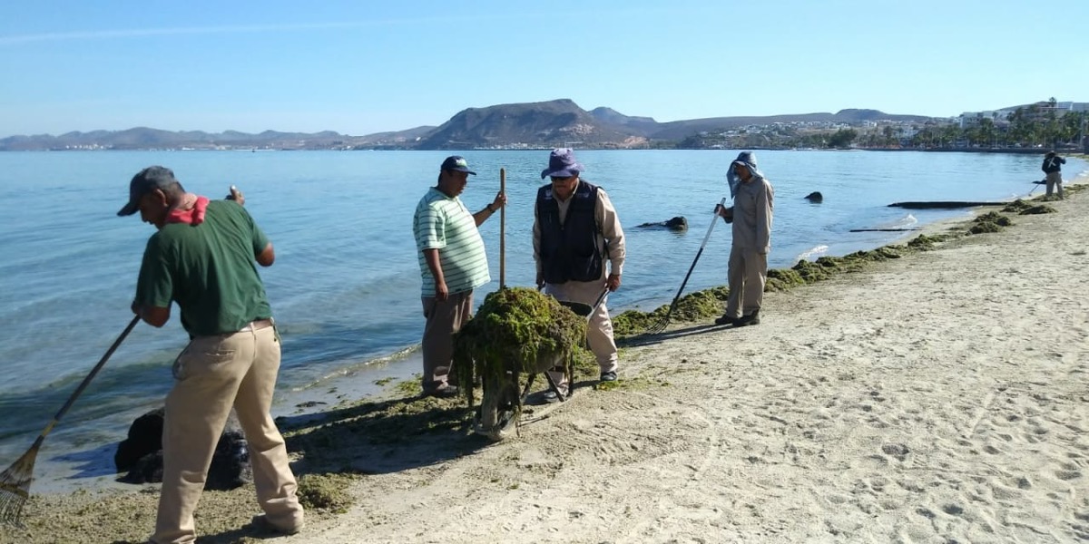 Prepara servicios públicos playas de La Paz para Semana Santa