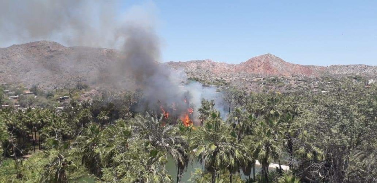 En ascenso temperaturas en BCS: Protección Civil Estatal