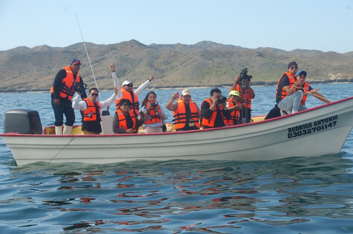 Preparan avistamiento de la ballena gris en Puerto Chale