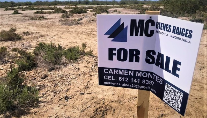 BALCONEANDO/ ¡Y VAN DE NUEVO!