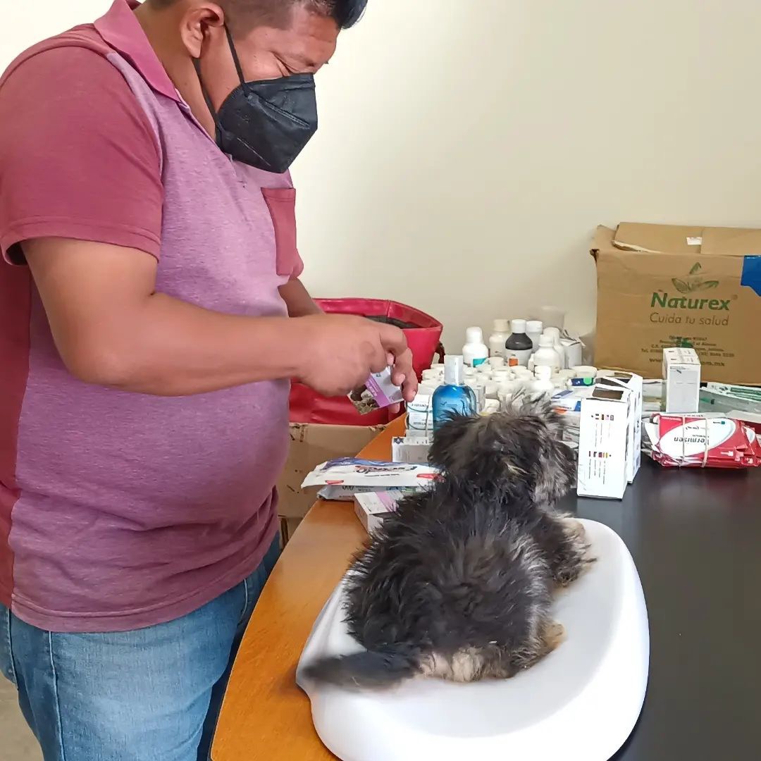 Inician jornadas se salud en todas las delegaciones de Los Cabos