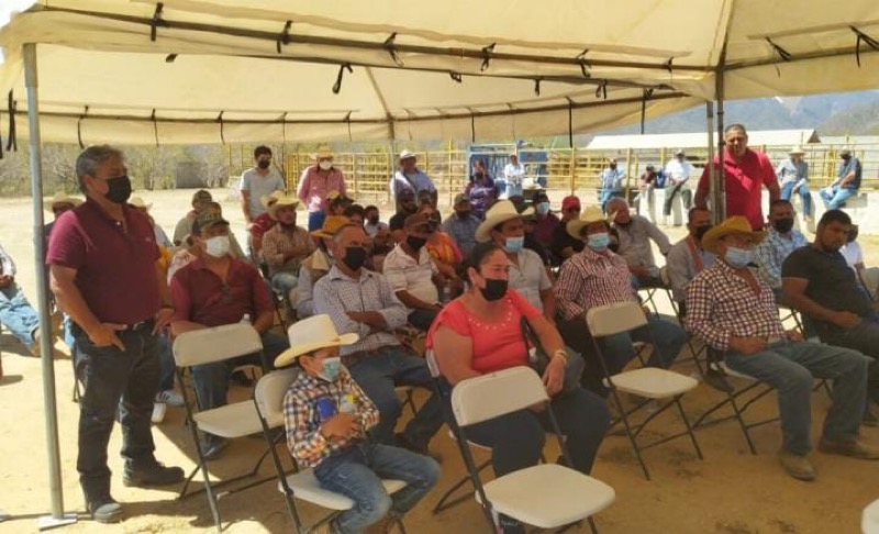 Gobierno de Los Cabos entrega 2.6 mdp en apoyo a ganaderos