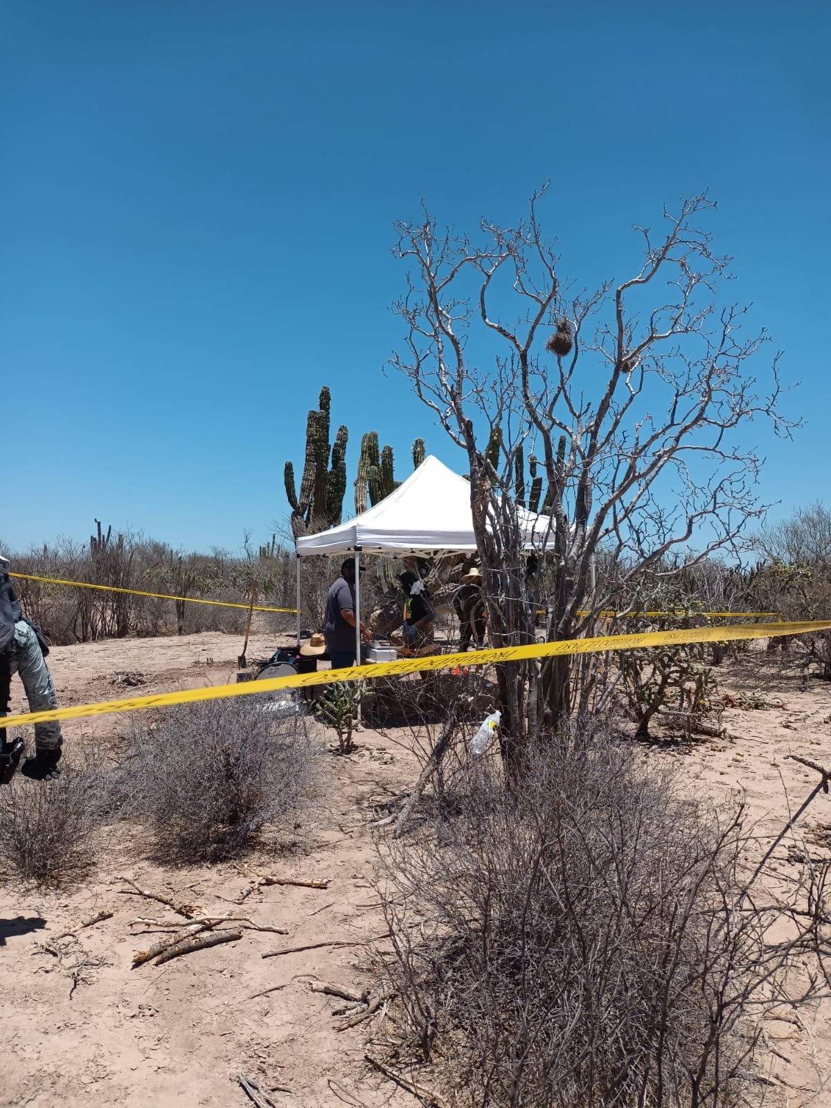 Colectivos y comisión estatal de búsqueda localizan 2 inhumaciones clandestinas en Comondú