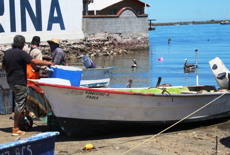Renovarán padrón para programa seguro de vida a pescadores