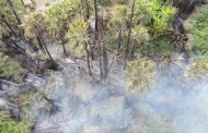 90 por ciento de avance en extinción de incendio en Todos Santos