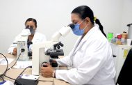 SALUD ESTATAL DESARROLLÓ CURSO PARA FORTALECER DETECCIÓN DE LA MALARIA