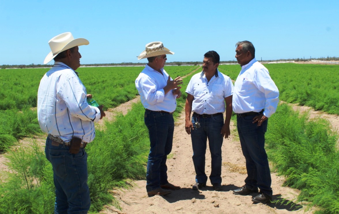 CONVOCAN A PRODUCTORES A PARTICIPAR<br>EN EL CENSO AGROPECUARIO 2022