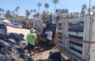 Retira Zofemat Los Cabos más de 30 toneladas de residuos en playas y zonas adyacentes tras el paso de la tormenta “Javier”