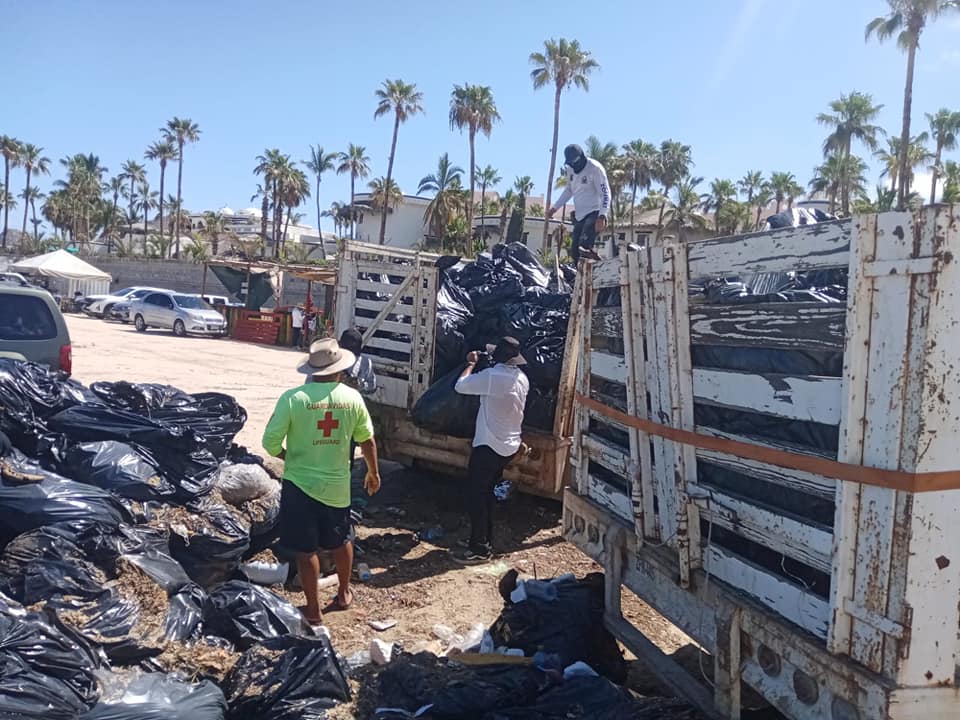 Retira Zofemat Los Cabos más de 30 toneladas de residuos en playas y zonas adyacentes tras el paso de la tormenta “Javier”