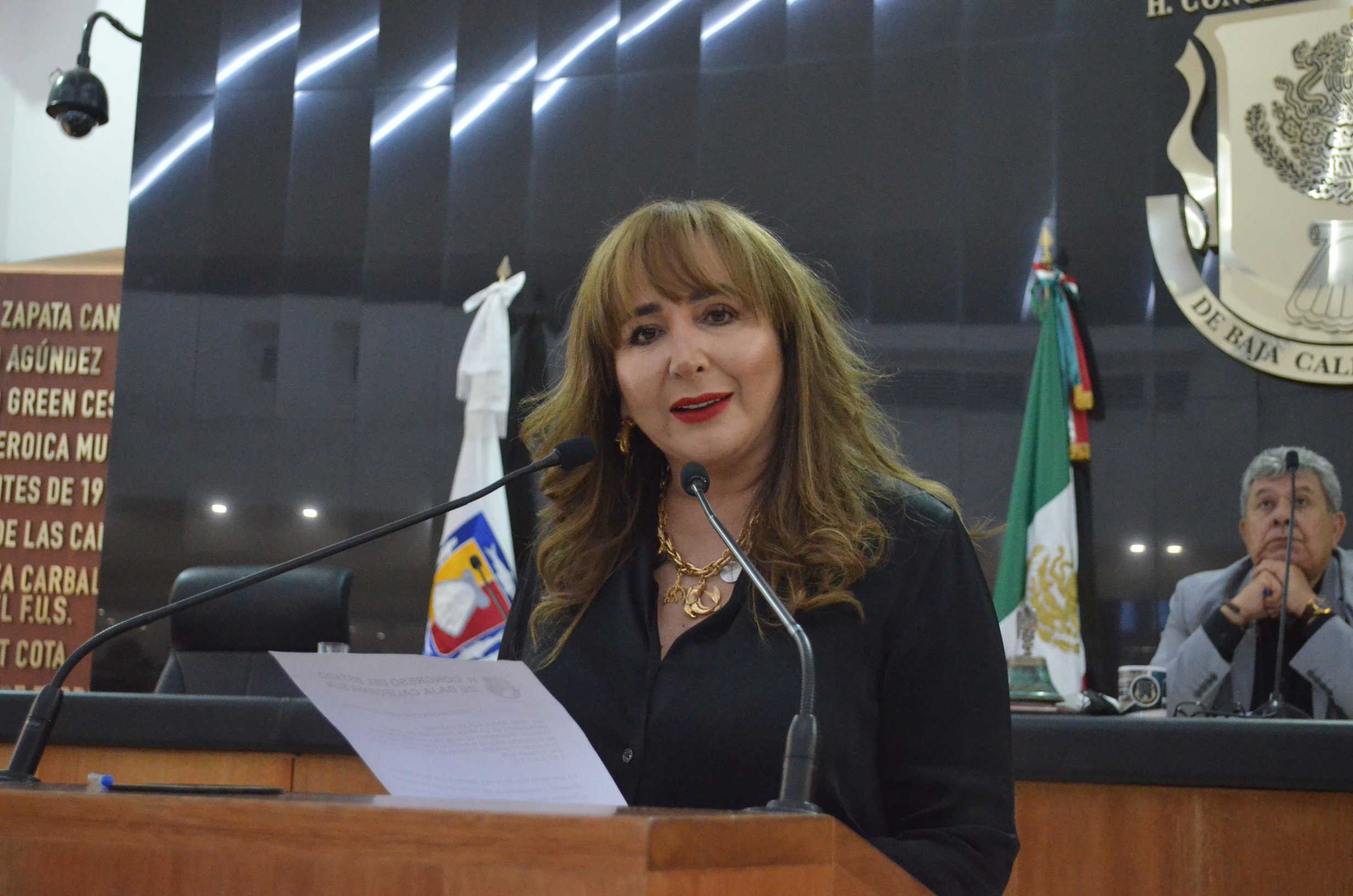 Renuncia diputada Blanca Márquez a Comisión Instructora