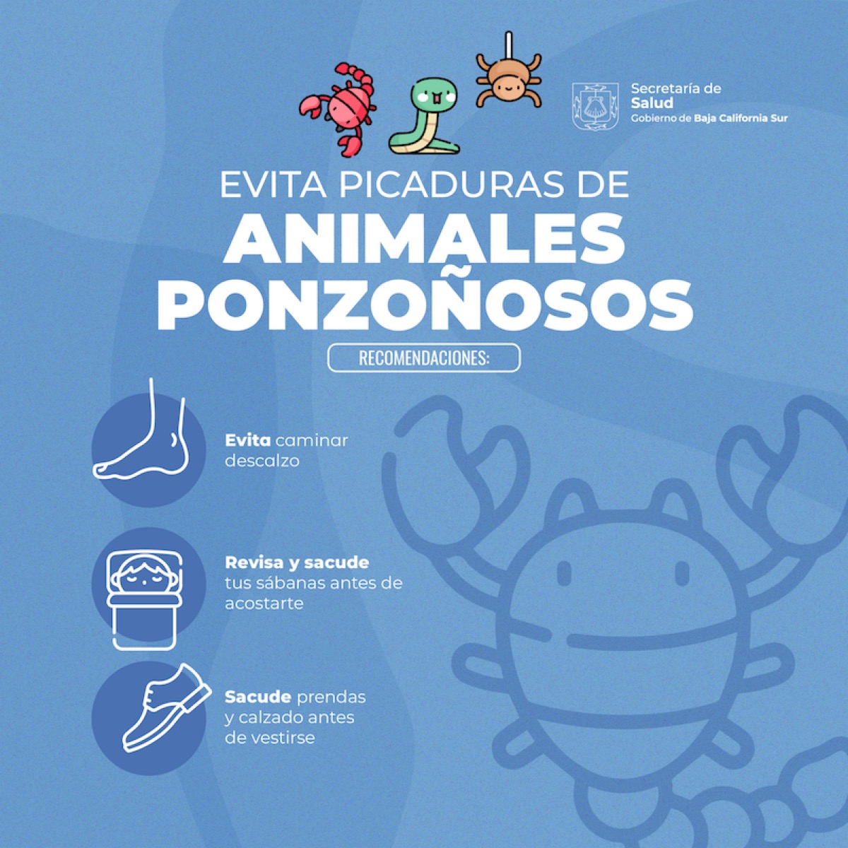 Llama SSA a vacacionistas a prevenir accidentes por animales ponzoñosos