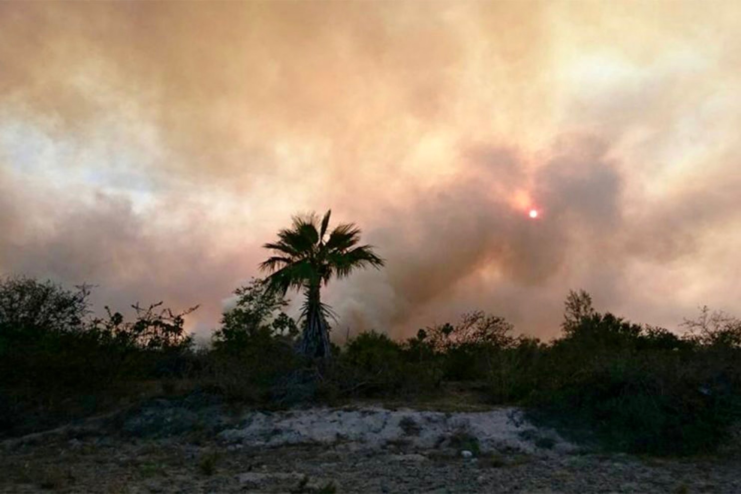 BALCONEANDO/ ¡FUE INTENCIONAL!