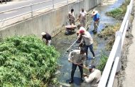 Implementa Servicios Públicos trabajos de mantenimiento y limpieza integral en la colonia Miramar de CSL