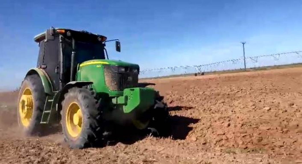 Avanza comercialización de trigo en el Valle de Santo Domingo