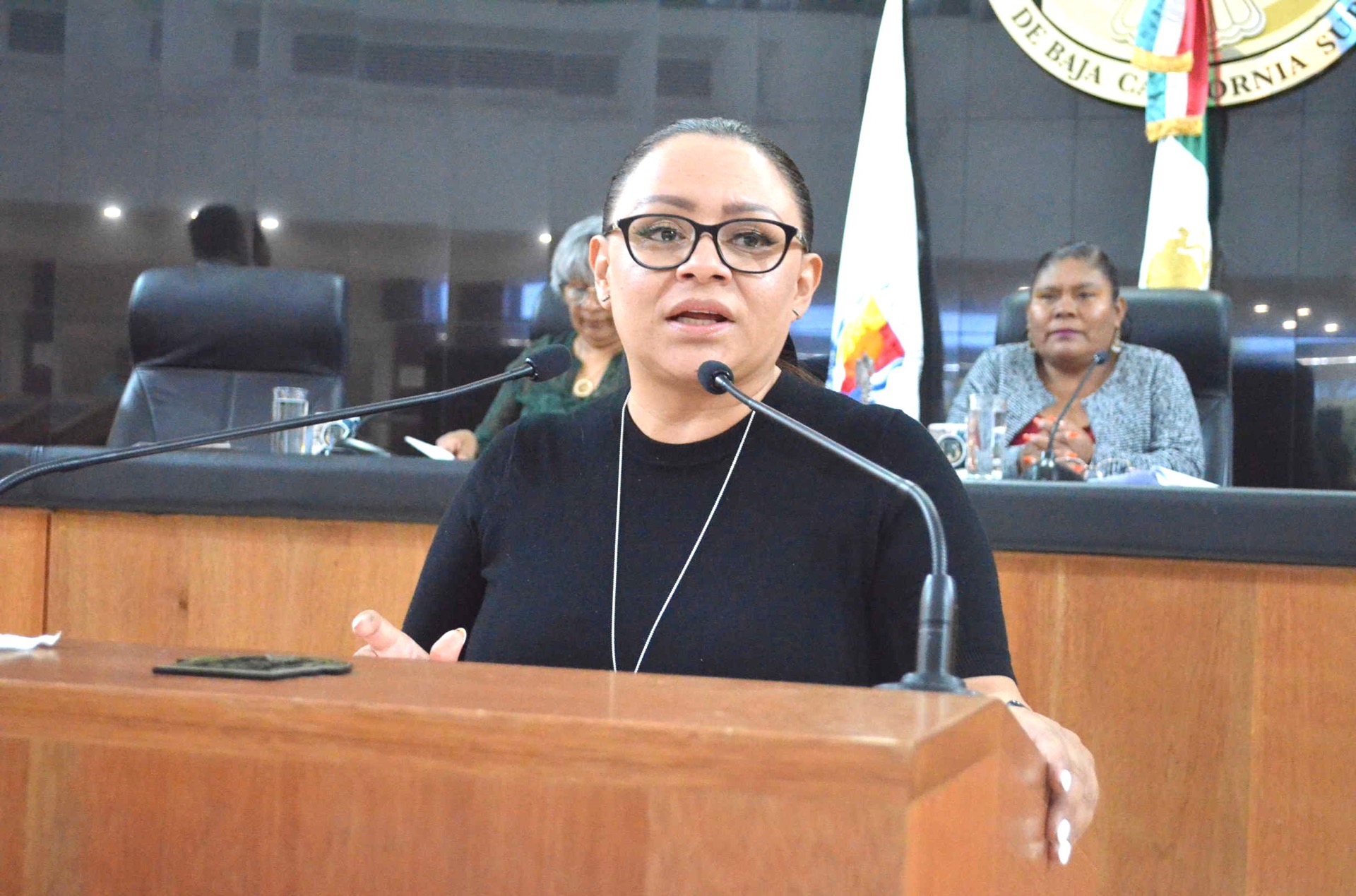 Llama Diputada Paz del Alma Ochoa a CENACE y CFE a emprender acciones que mejoren el servicio y suministro de energía eléctrica en Loreto