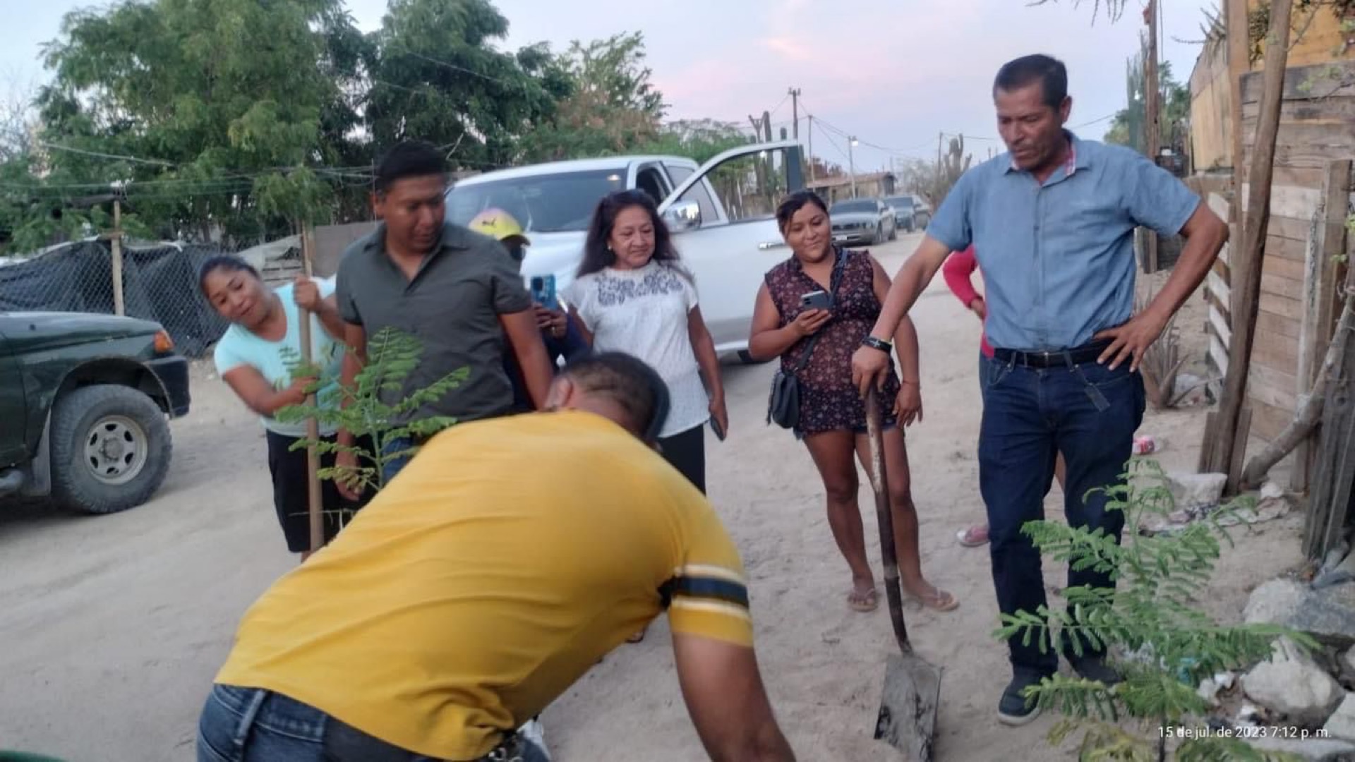 De manera conjunta vecinos de la colonia Cabo Diamante en CSL y Servicios Públicos reforestan áreas de vialidades