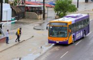 Se regularizará servicio de transporte público en Los Cabos a medida que las condiciones lo permitan