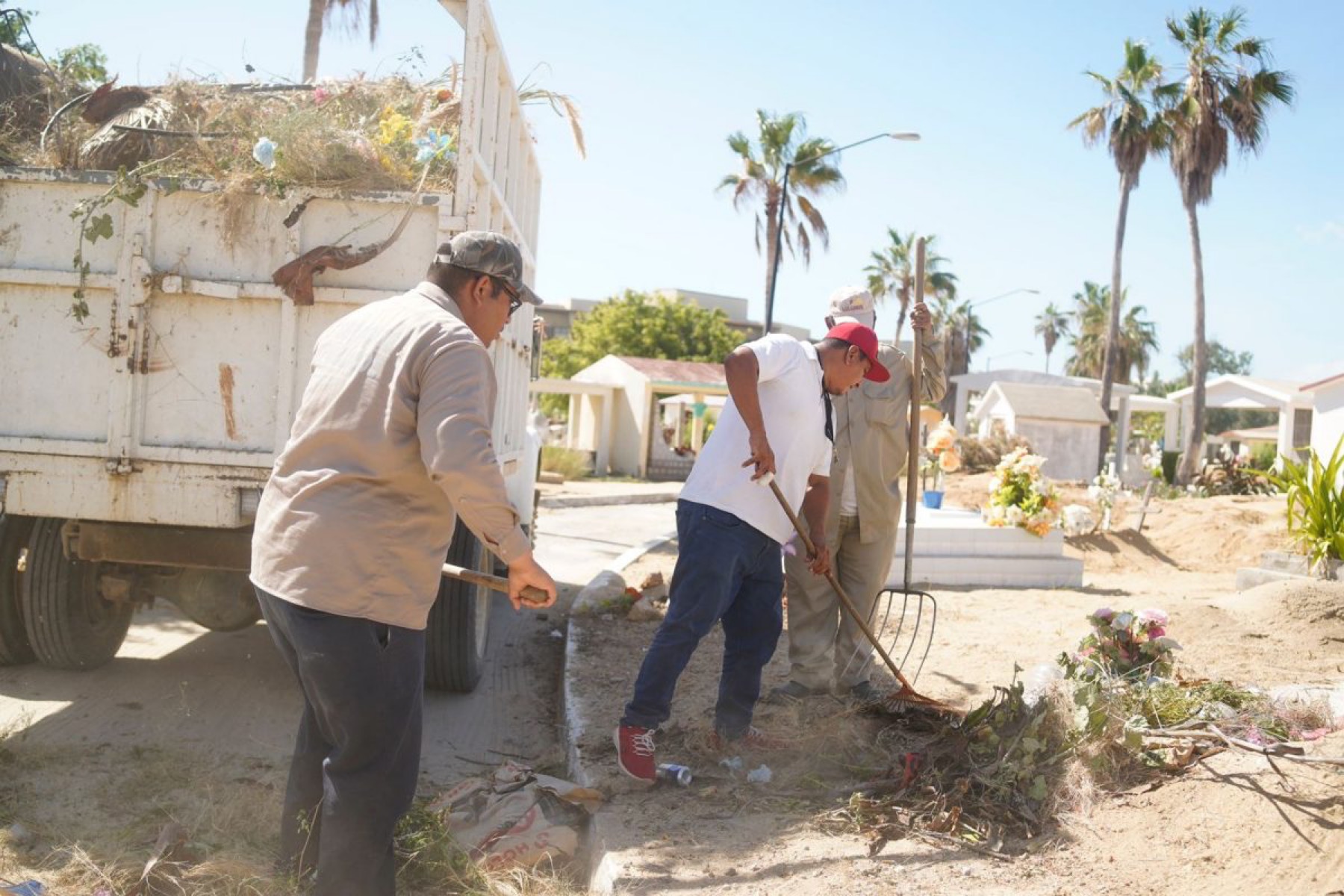 Intensifican trabajos de limpieza y retiro de ramas en panteones de Los Cabos; ante proximidad del Día de Muertos