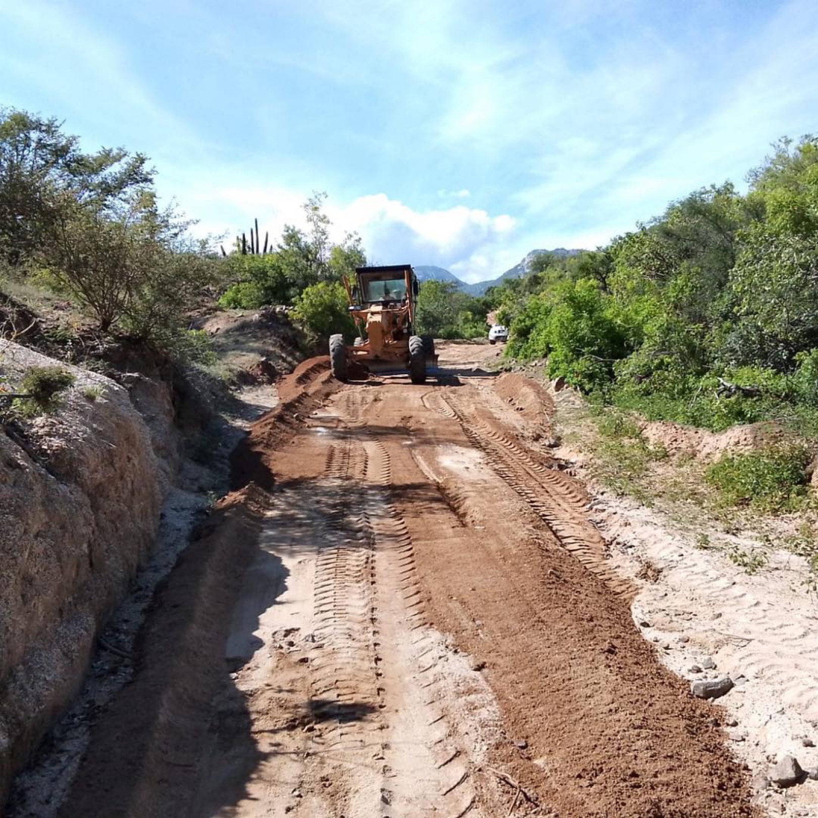 Continúan jornadas de limpieza y rehabilitación de caminos en zona rural de Los Cabos