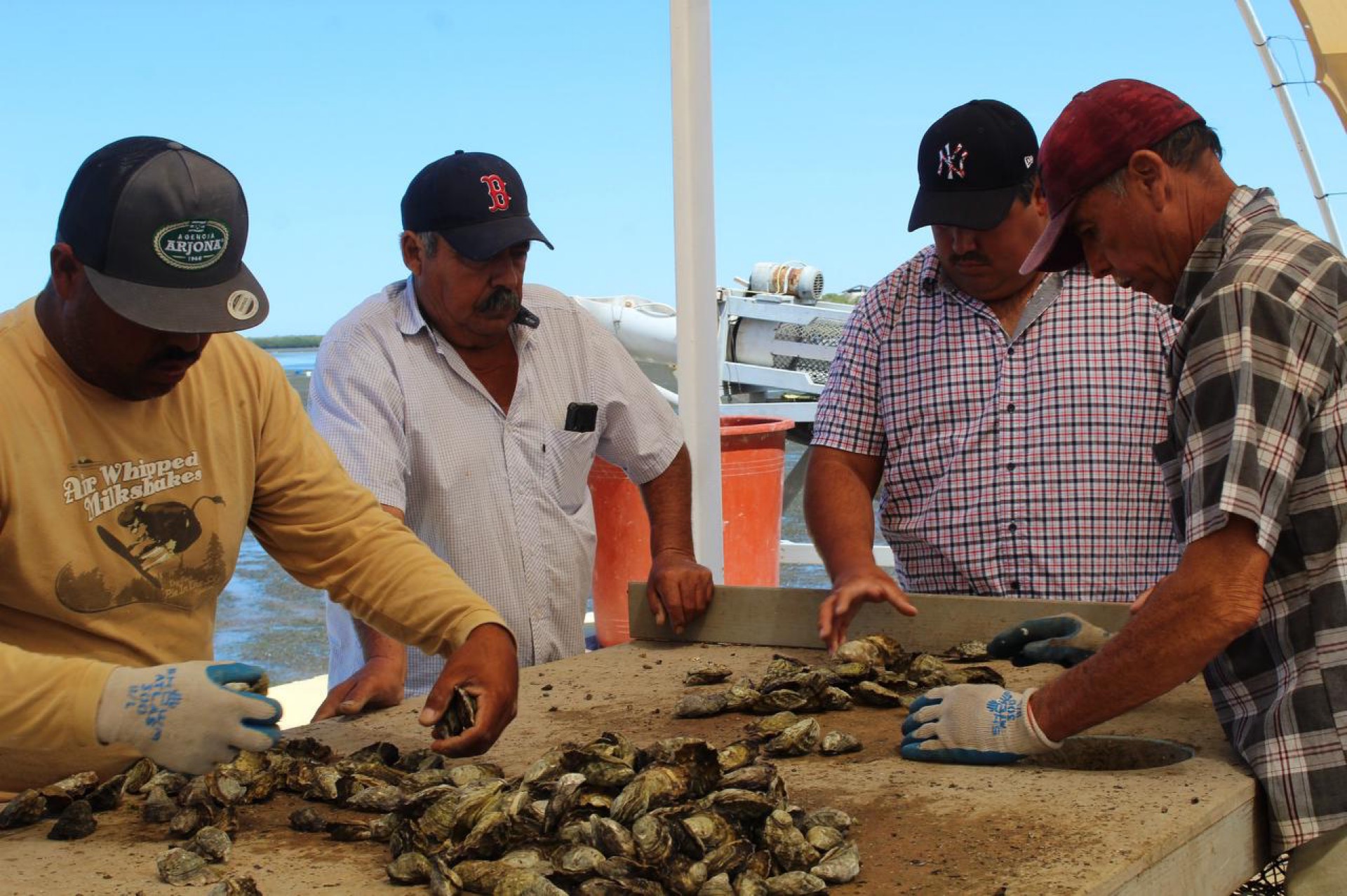 Apoyó Gobierno de BCS, con más de 13 mdp a acuicultores en 2023