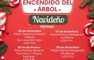 Invita Ayuntamiento de Los Cabos al encendido de Árboles Navideños, iniciará este miércoles este miércoles en San José del Cabo