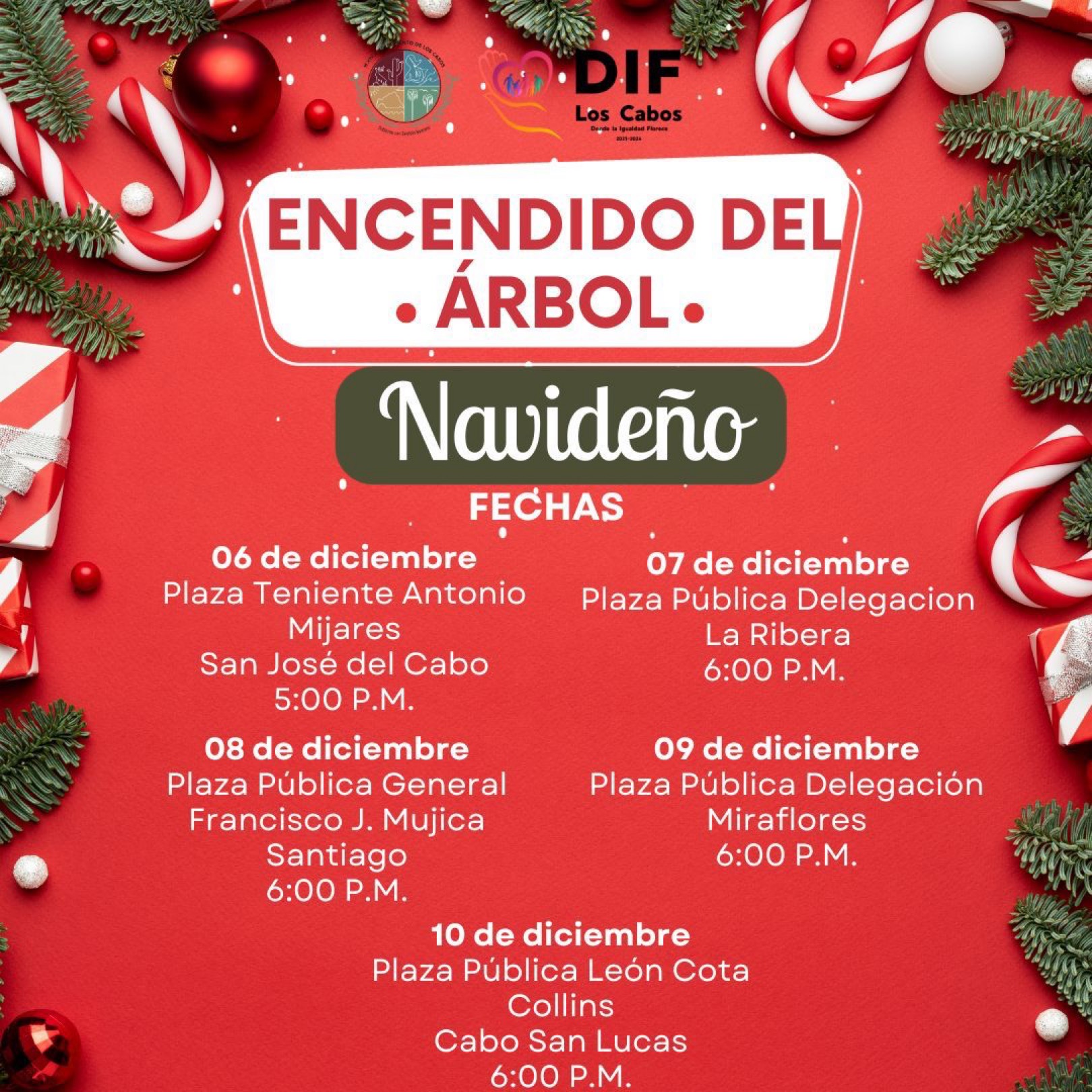 Invita Ayuntamiento de Los Cabos al encendido de Árboles Navideños, iniciará este miércoles este miércoles en San José del Cabo