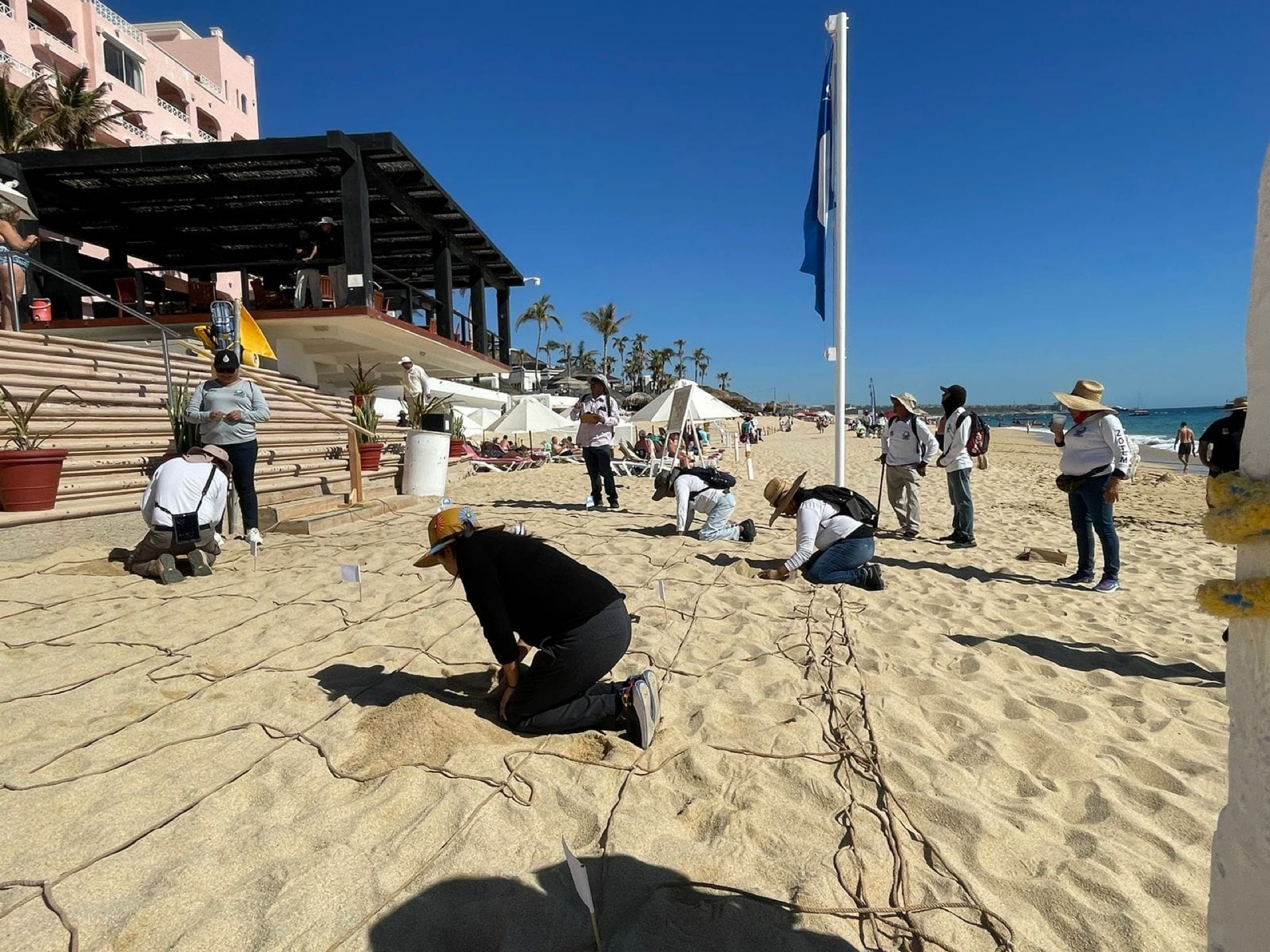 Realizan Zofemat Los Cabos y personal de Blue Flag México, procedimientos correspondientes de auditoría temporada 2023-2024