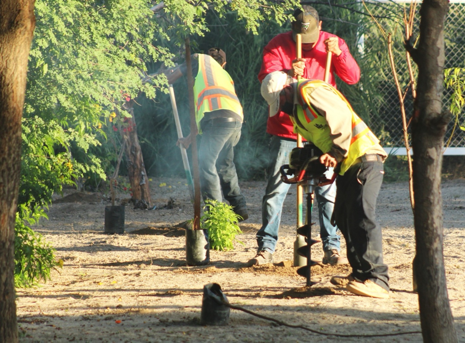 Implementa Servicios Públicos el programa “Pulmones Urbanos”