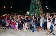 Encendido de árbol navideño en Tianguis Las Palmas de CSL