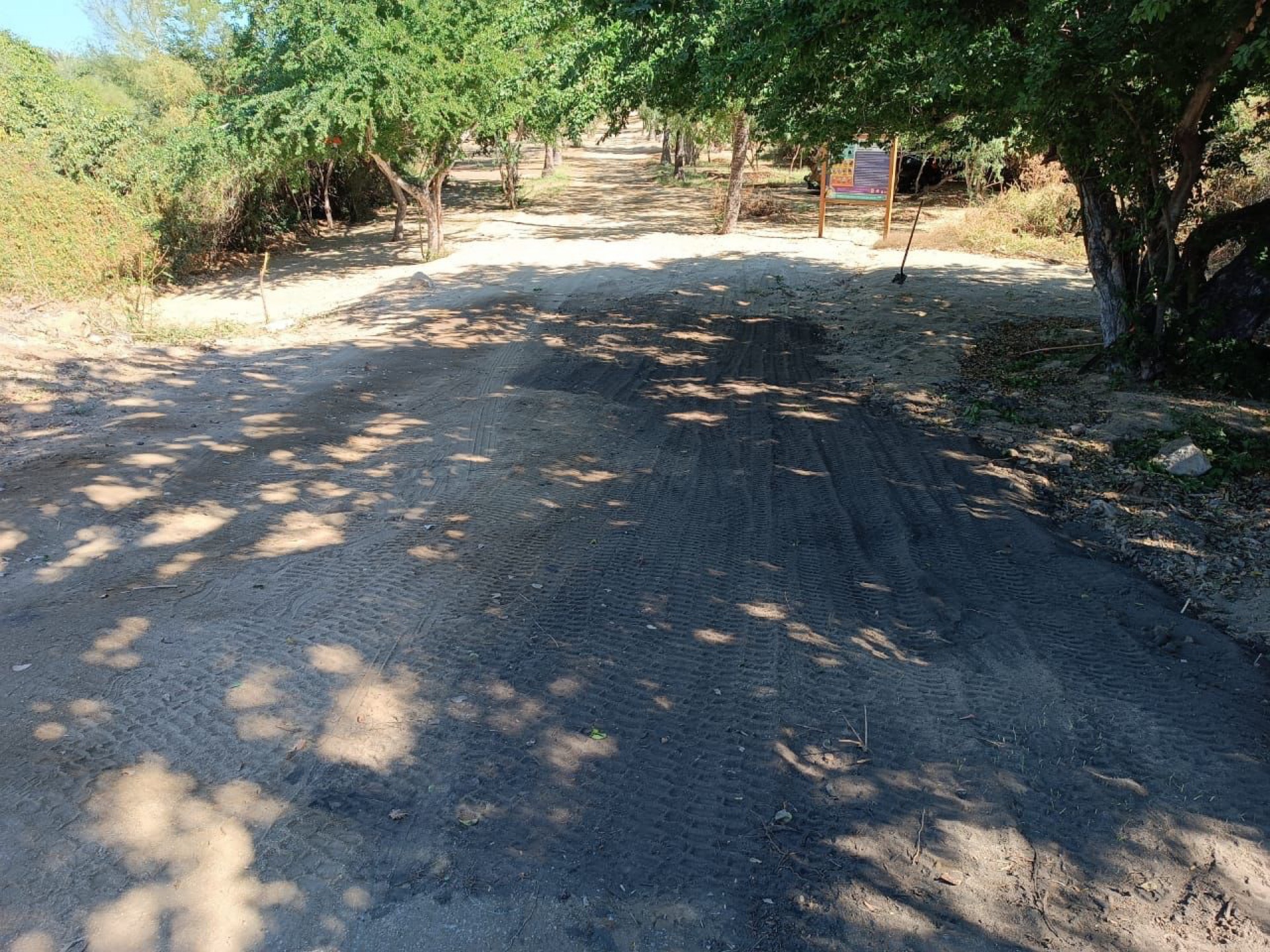 Exhortan a ciudadanos y hoteleros aledaños al Estero Josefino, a evitar fuegos artificiales y pirotecnia por los daños que puedan causar a la flora y fauna del área natural protegida