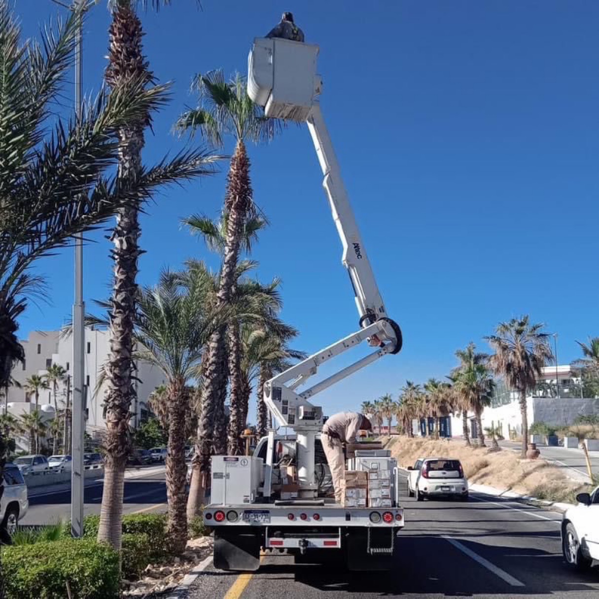 Continúan trabajos de rehabilitación del alumbrado público en Los Cabos; en Transpeninsular tramo San José a CSL