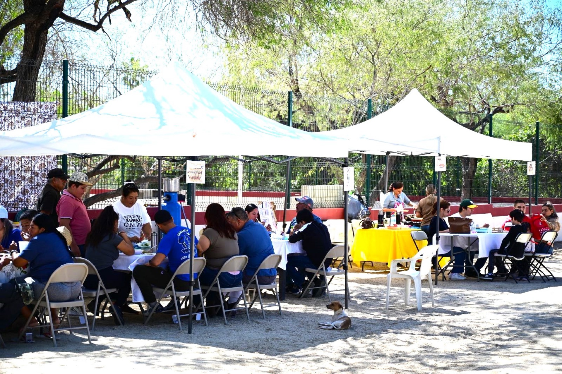 Propicia Gobierno de Los Cabos espacios para estimular la economía regional; instalan Mercado Rural Cultural en la Subdelegación de Los Pozos de CSL