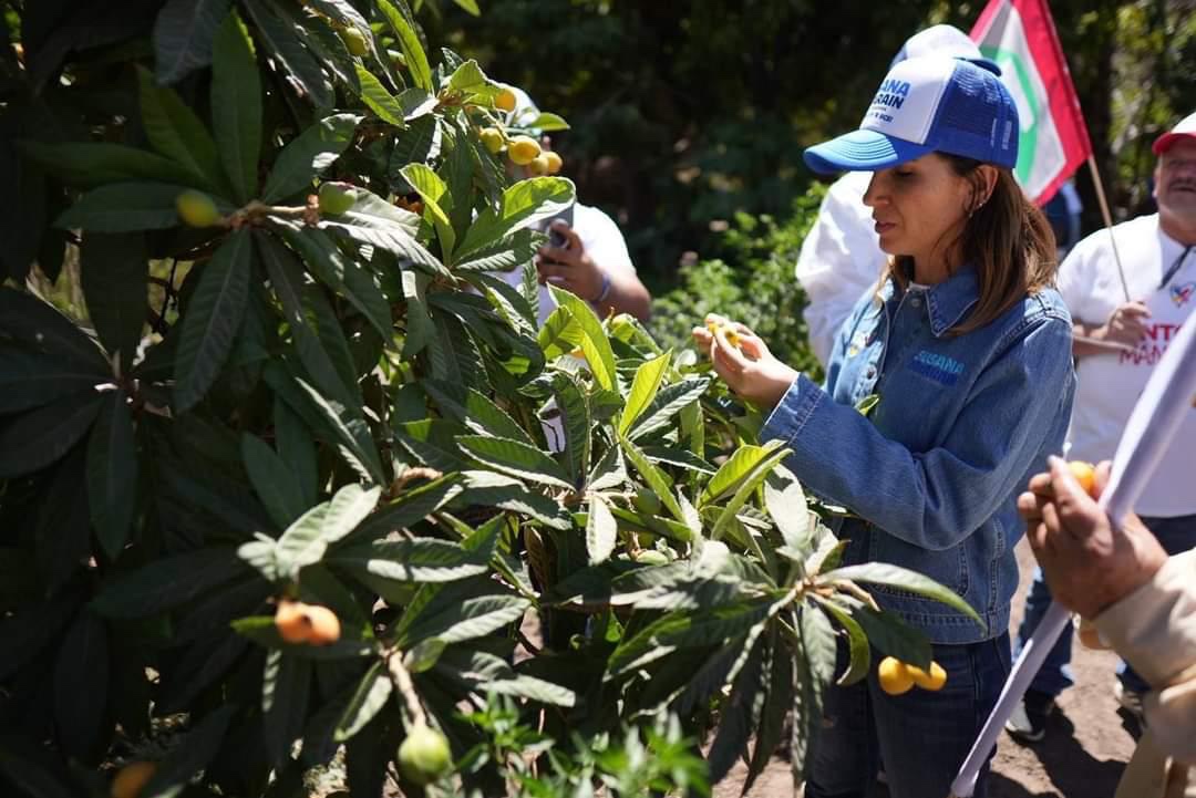 Continuidad en los avances de transformación ambiental en BCS: Susana Zatarain