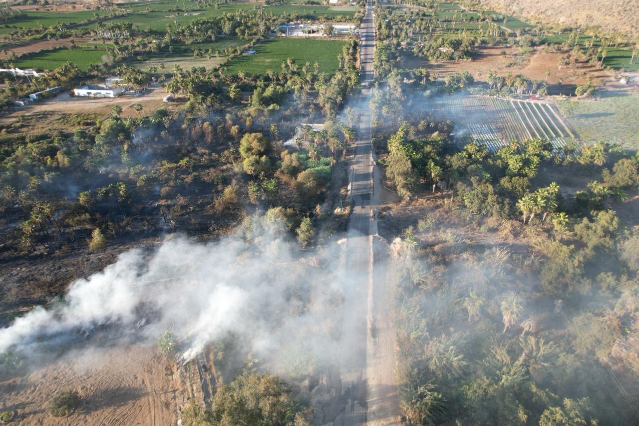 Sofocan bomberos de La Paz incendio en Todos Santos