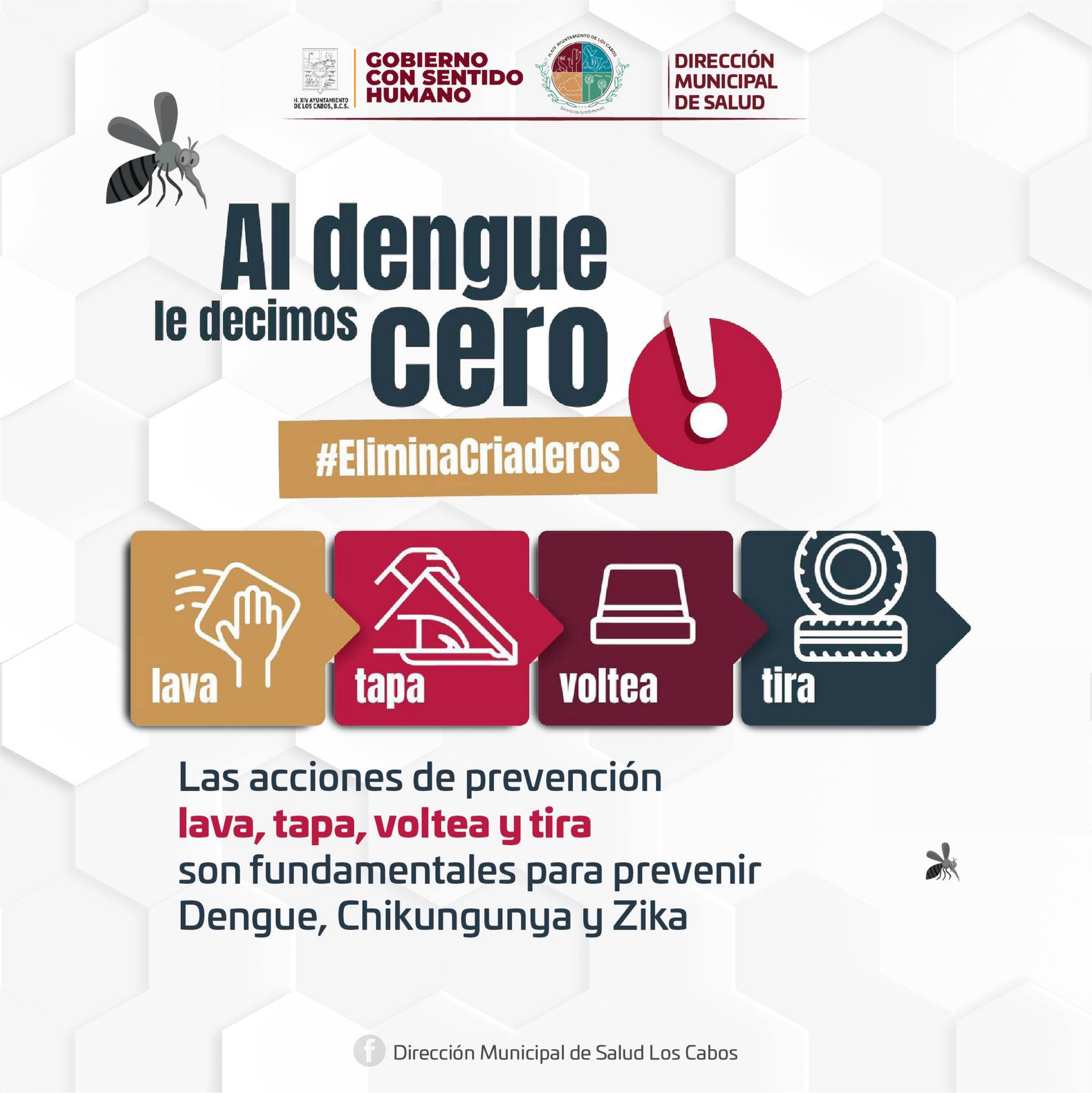 Llama Salud Municipal de Los Cabos a tomar precauciones contra el dengue, Zika y chinkungunya