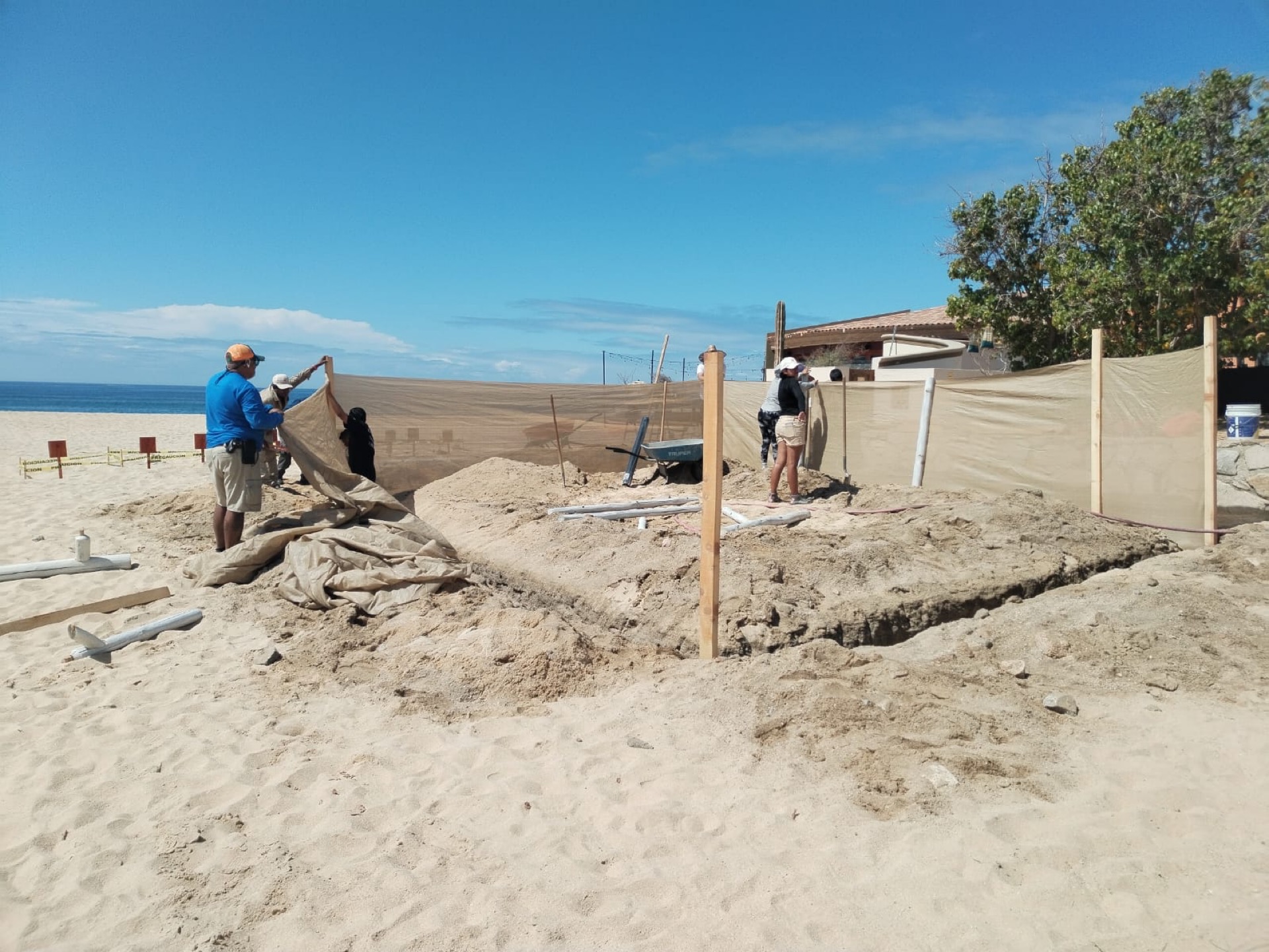 Instalan corral de incubación para la protección de la tortuga marina en Hacienda del Mar, en la zona de protección en desarrollo Cabo del Sol