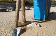 Ante actos de vandalismo en Playa Palmilla, Zofemat Los Cabos hace llamado a visitantes a mantener la zona libre de basura y conservar en buenas condiciones las áreas comunes
