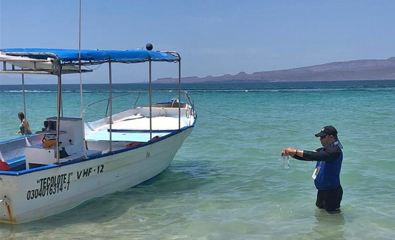 CONFIRMA COEPRIS QUE PLAYA EL TECOLOTE ESTÁ EN CONDICIONES PARA ACTIVIDADES RECREATIVAS