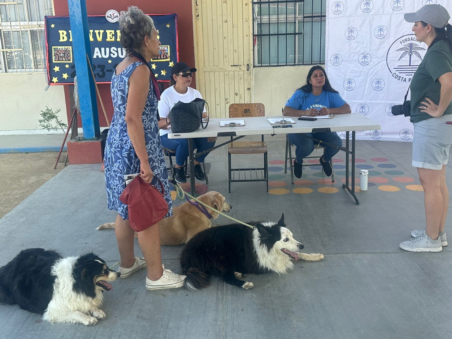 Exitosa campaña de vacunación gratuita para perros y gatos en la Delegación de Santiago