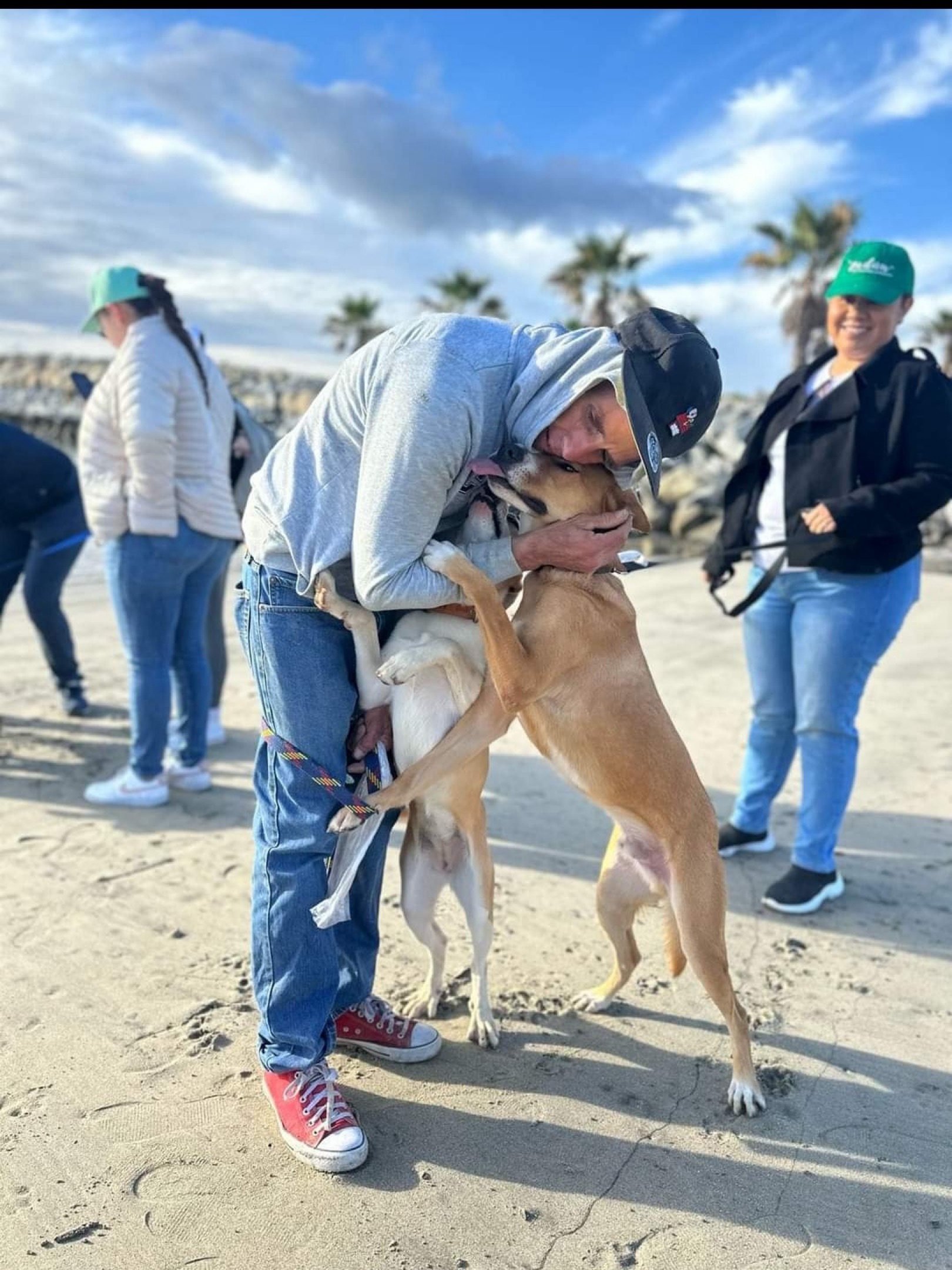 Tiene coordinación municipal de protección animal de Los Cabos, 15 mascotas en adopción