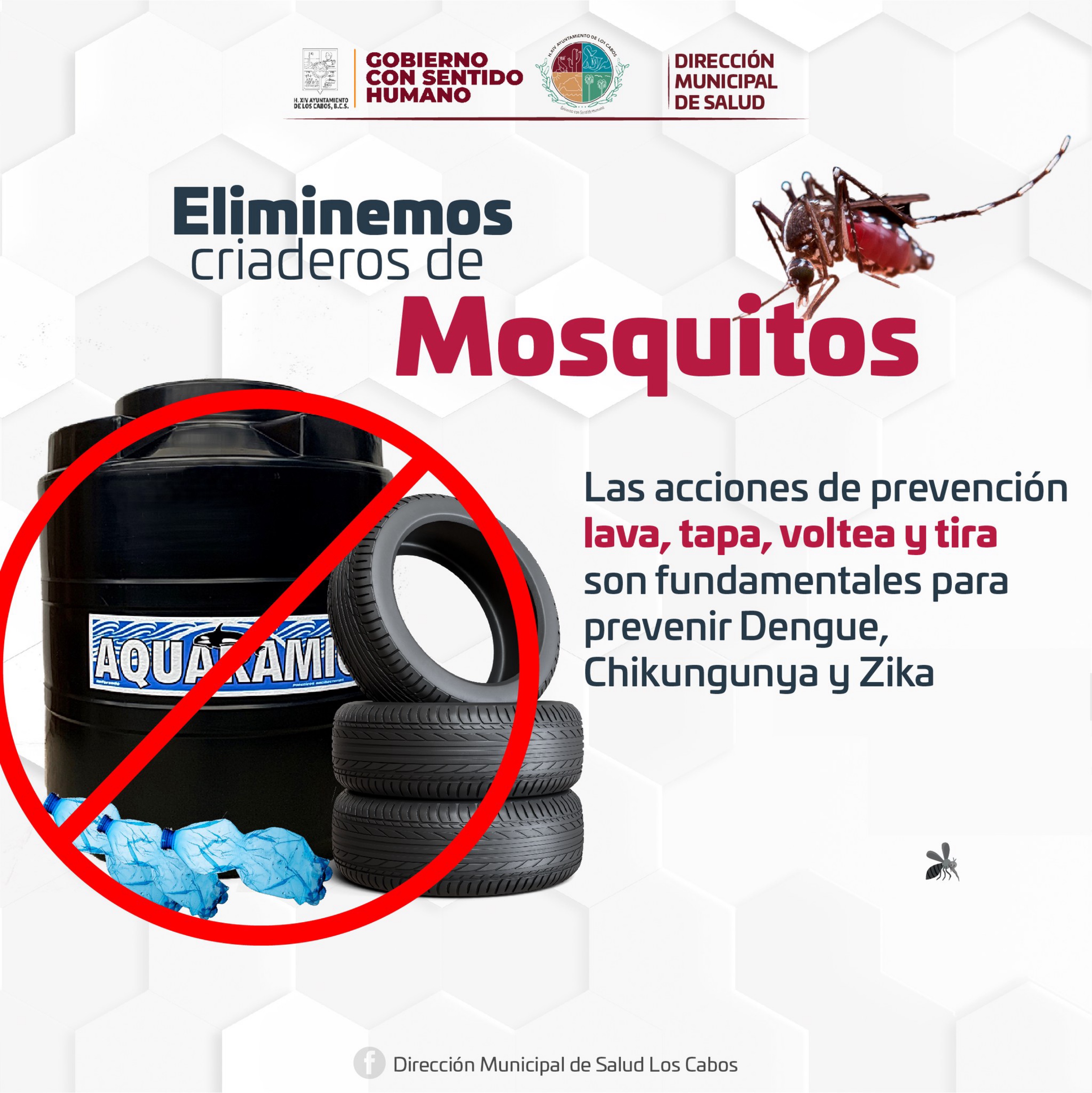 Advierte Dirección de Salud de Los Cabos. Importante limpieza de patios y jardines ante la temporada de lluvias; para evitar potenciales criaderos del mosco transmisor del dengue