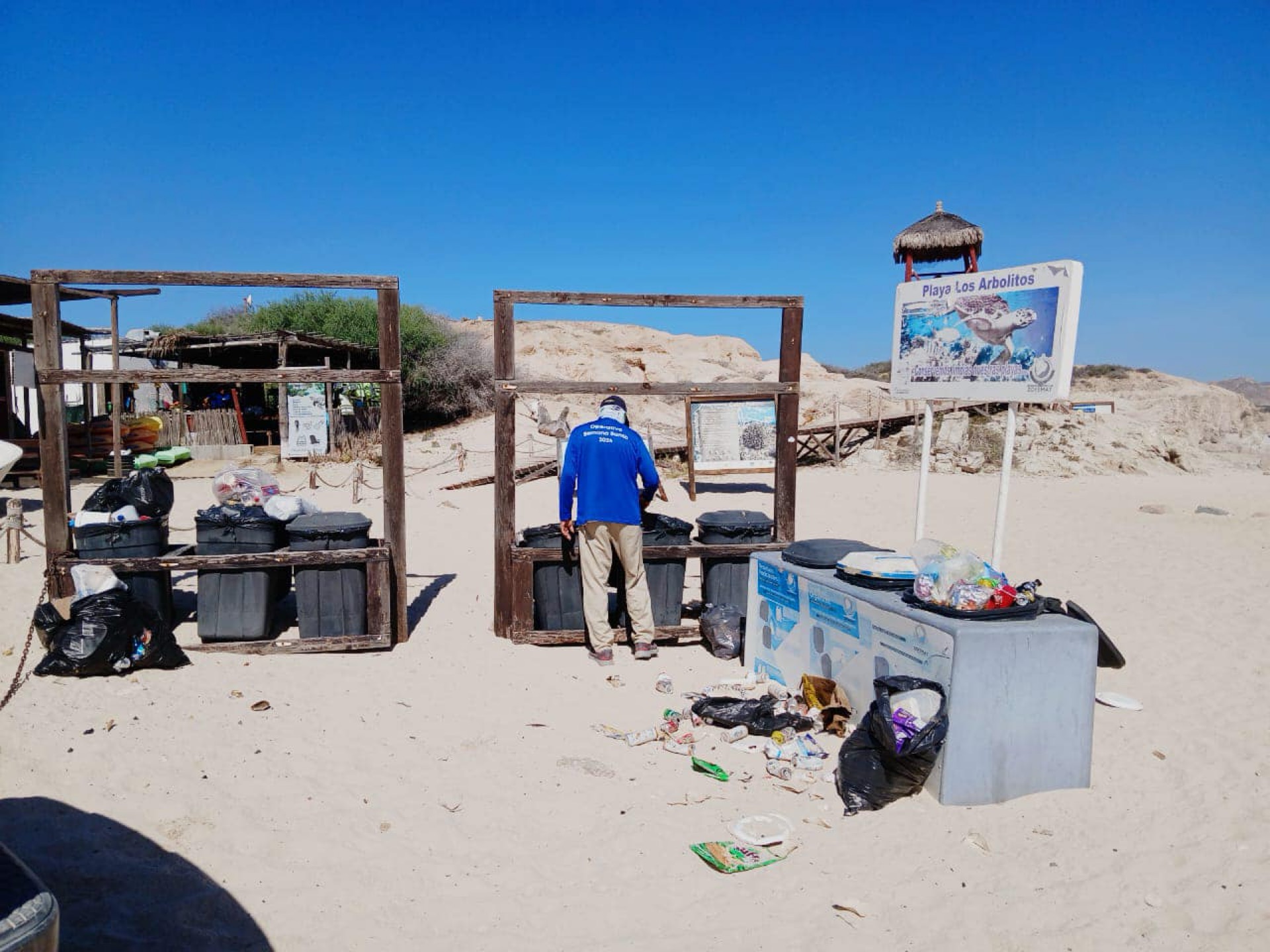 Continúa Zofemat Los Cabos con limpieza del fondo marino y playas en el municipio