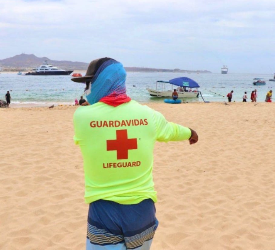 Durante los meses de otoño, la mejor época para el buceo en Los Cabos; coincide con la migración de diversas especies