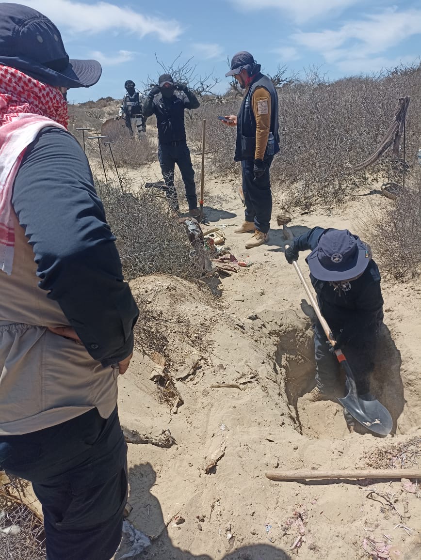 AVANCES EN LA BÚSQUEDA DE PERSONAS EN BAJA CALIFORNIA SUR