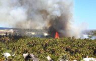 Autoridades atienden tres incendios simultáneos en Todos Santos